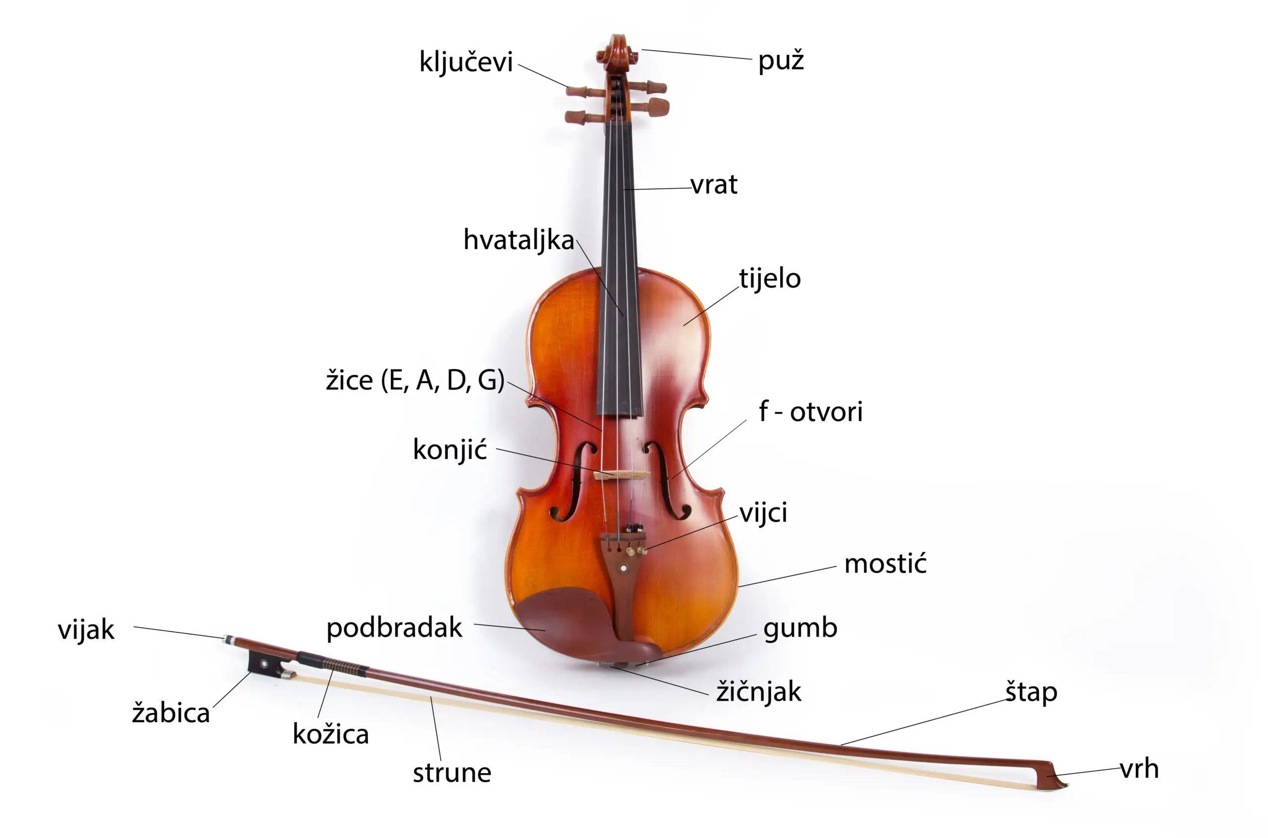 dijelovi-violine
