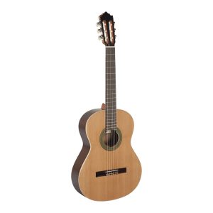 Paco Castillo 201M Nature klasična gitara SET - Slika 2