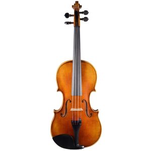 Gliga Gems2 violina 3/4 set
