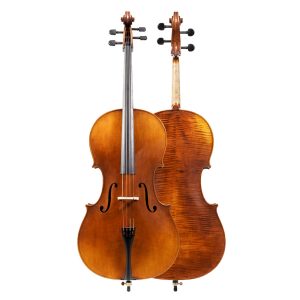 Antique L8000 violončelo 4/4 Set