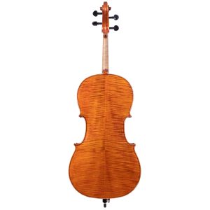 Antique L14000 violončelo 4/4 set - Slika 2